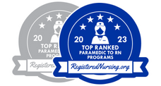 Nursing Badge